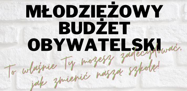 Zdjęcie do aktualności: MŁODZIEŻOWY BUDŻET OBYWATELSKI