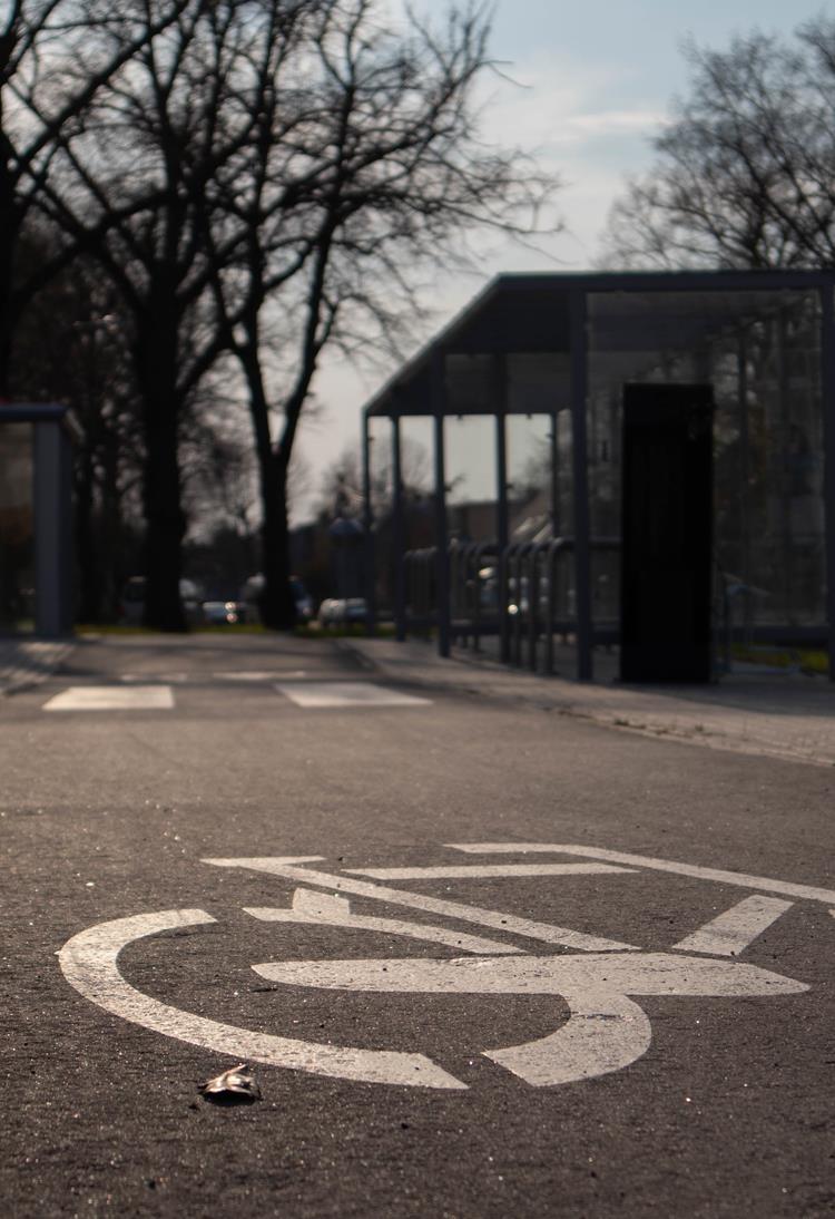 Zdjęcie do aktualności: Samorząd Lokalny w Obiektywie